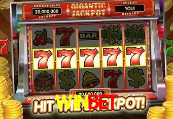 A Experiência Imersiva dos Cassinos Ao Vivo no WINBET